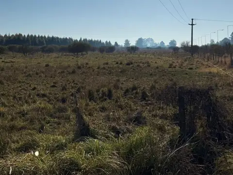 ¡Oportunidad para invertir y producir! Campo en venta