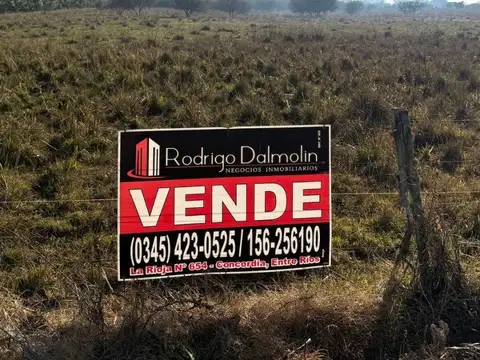 ¡Oportunidad para invertir y producir! Campo en venta