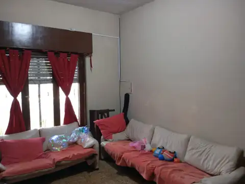 Angel Pini 5300