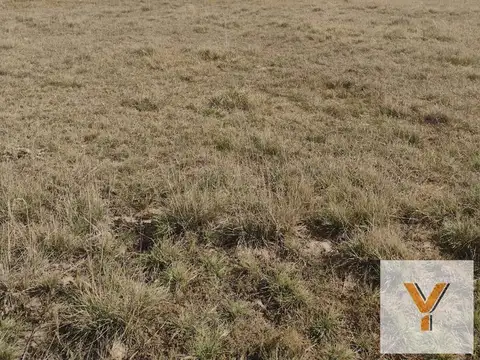 Casa en venta - 2 Dormitorios 1 Baño - 2.495Mts2 - General Lamadrid