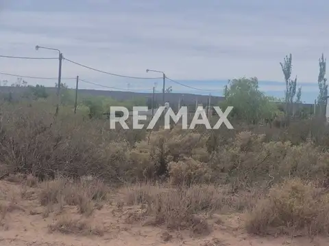 Bustingorry y Villa Traful