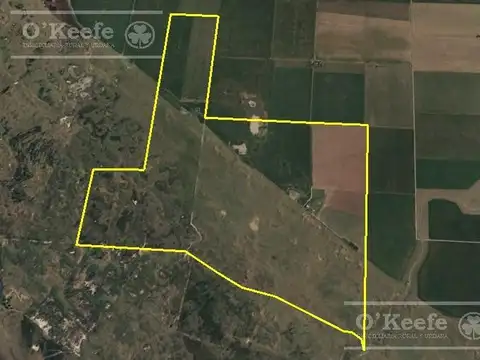 CAMPO MIXTO EN VENTA DE 830 HAS - CORONEL DORREGO