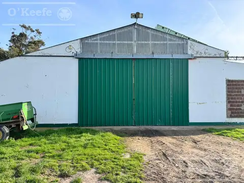 CAMPO MIXTO EN VENTA DE 830 HAS - CORONEL DORREGO