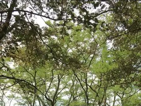 CUARTEL IX LA PORTENA