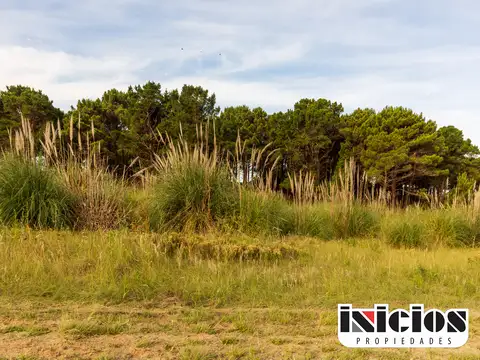 Terreno en Venta en Punta Medanos Pueblo Maritimo, USD 30.000