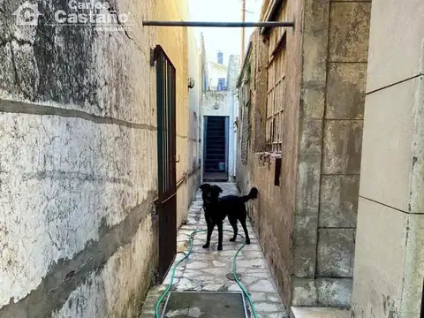 F J.Sarmiento al 900