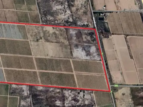 PROPIEDADES RURALES - AGRICOLA - ZONA SUR, POCITO