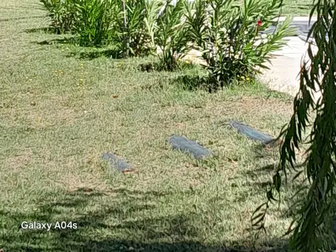 Complejo turístico con pileta, en actividad: Casa de 3 dorm. más 2 cabañas tipo Bungalow, en San Rafael, Mendoza
