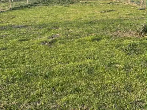 Terreno en Venta en General Rodriguez