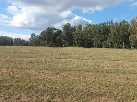 Excelente  Terreno en Venta , Barrio  Quebradas, Villa Rural