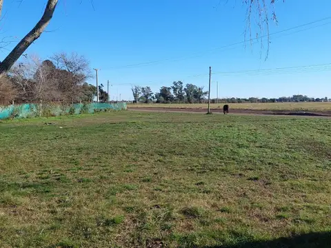 Venta Terreno de 1.213 m2 cerca de ruta 11 - Timbúes