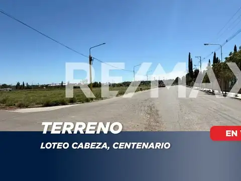 VENTA TERRENO | LOTEO CABEZA | CENTENARIO