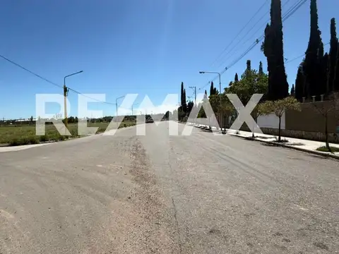 VENTA TERRENO | LOTEO CABEZA | CENTENARIO