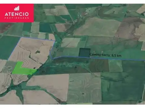 Ruta 11 84
