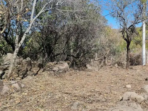 TERRENO EN VENTA AGUA DE ORO