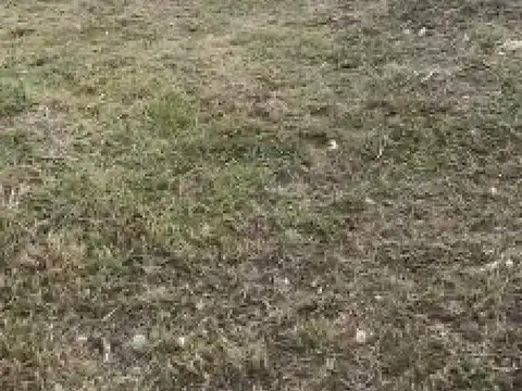 Terreno en venta - 305Mts2 - Arana, La Plata