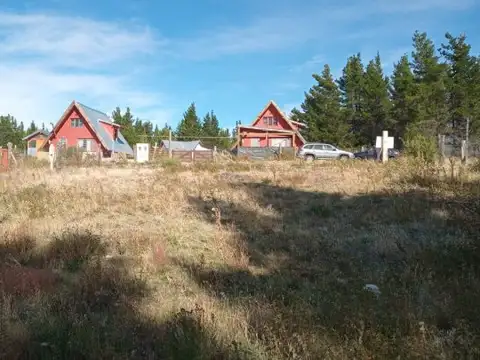 Ruta 40