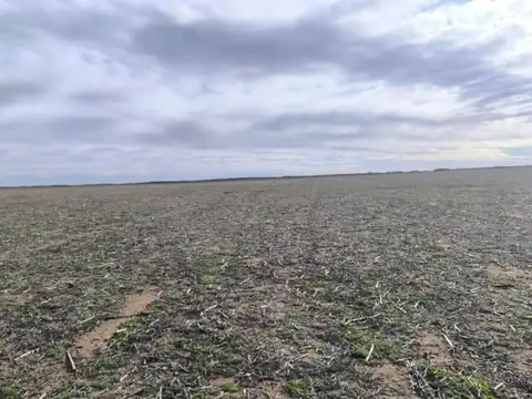 Autopista 55 - KM 676