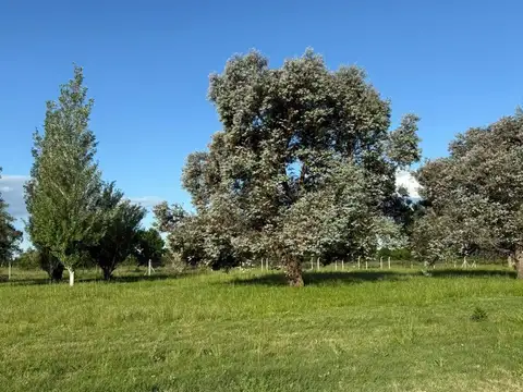 Barrio Cerrado Mirabosques Cardales Lote 100