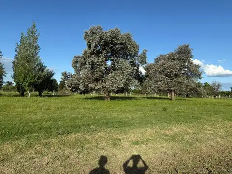 Terreno en Venta de 1087,0 m2