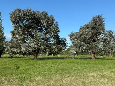 VENTA LOTE BARRIO CERRADO MIRABOSQUES CARDALES