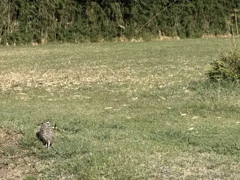 Terreno en Venta 70  mts Fondo