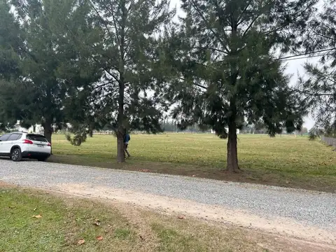 Terreno en Venta en Gomez de la Vega, USD 9.900