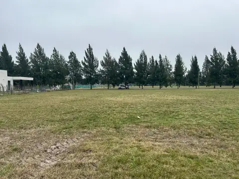 Ruta Provincial 2 100