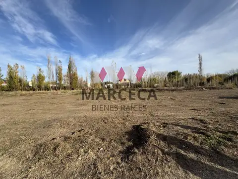 Terreno en Venta 12  mts Frente