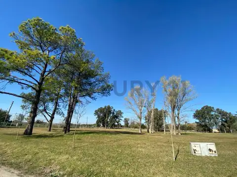 Terreno en Venta de 917,0 m2