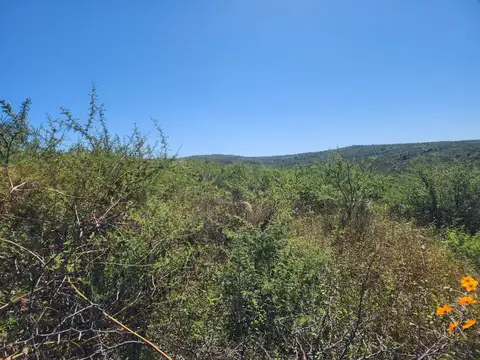 Terreno en Venta en Bialet Masse, USD 28.000