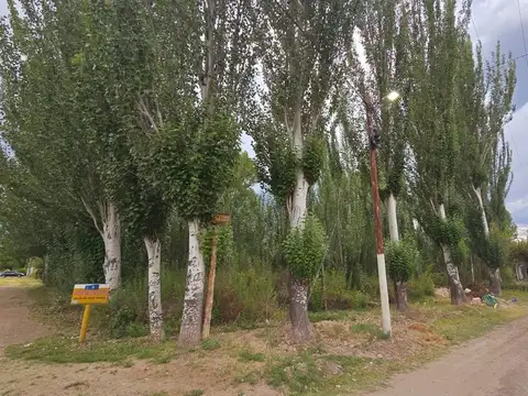 Venta Lote, esquina inmejorable, Colonia las Rosas