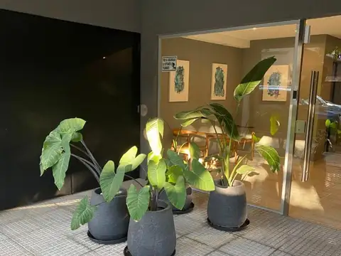 Departamento monoambiente con  balcon en alquiler - Parque Chas