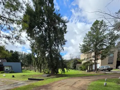 Terreno en Venta de 1455,0 m2