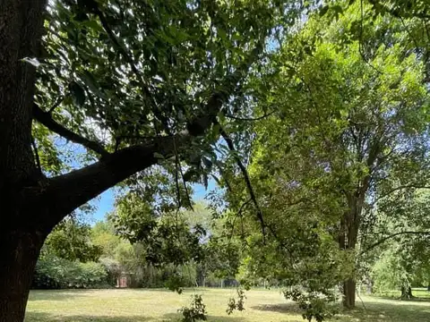 Terreno en Venta 36  mts Frente