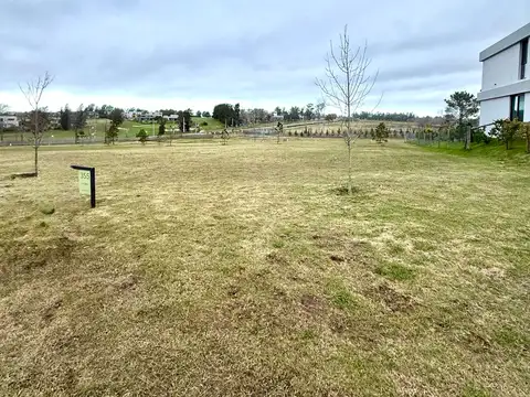 Camino de los horneros 300