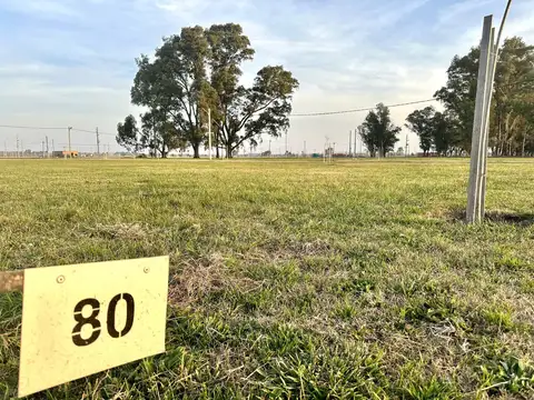 Terreno en Venta de 783,0 m2