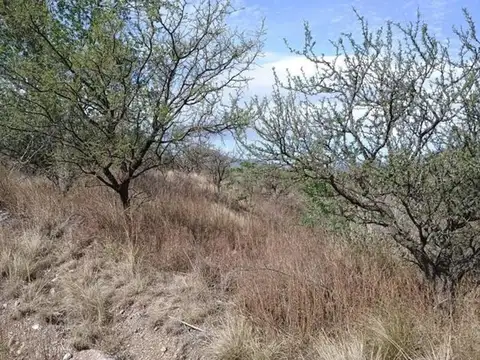 Terreno en Venta de 800,0 m2