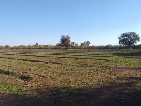 VENTA DE CAMPO 15 HAS EN VILLA DEL SOTO CORDOBA