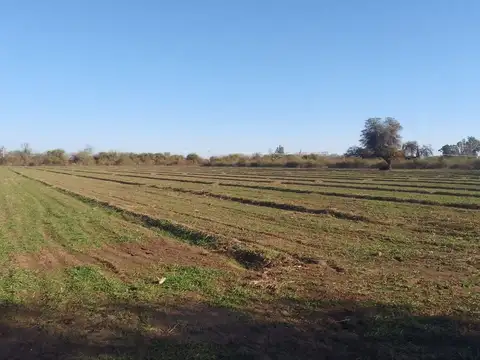 VENTA DE CAMPO 15 HAS EN VILLA DEL SOTO CORDOBA 