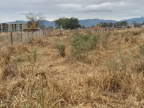 Muy lindo Lote de 246 m2 en venta en Loteo Septiembre