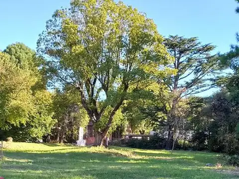 Lote  Santa Rita, Almirante Betbeder  al 1000