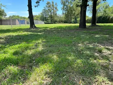 VENTA