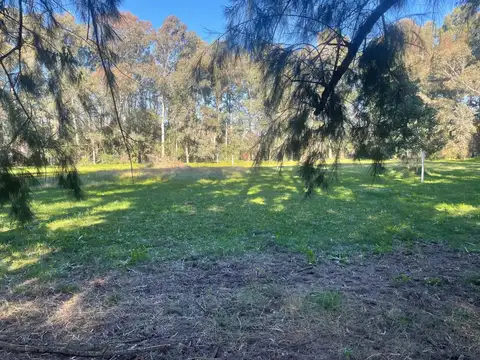 LOTE EN VENTA EN GOMEZ