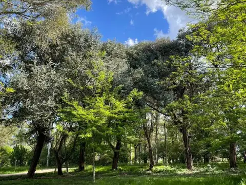 Terreno en Venta en Arana, USD 44.900