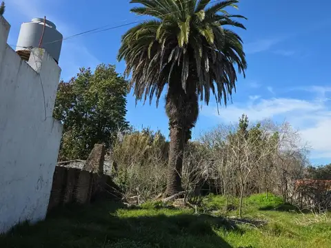 Sarmiento