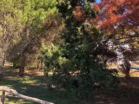 Campo en Venta de 6,70  ha