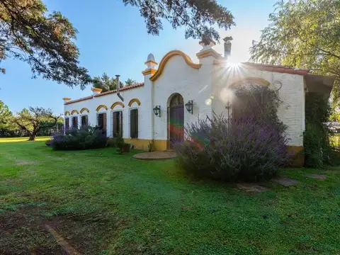 VENTA CASA QUINTA EN MTRO RIVADAVIA, ALMTE BROWN
