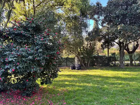 Carlos M.de Alvear al 1200