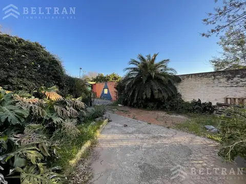 Moreno 2860. Lote 12
